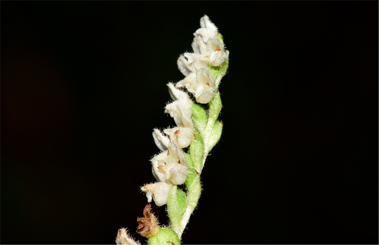 1730189267474355.png 18-2.png