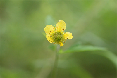 1737510884182435.jpg 6-01.jpg