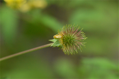 1737510889107731.jpg 6-02.jpg