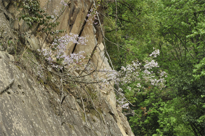 1741594266620201.jpg _DSC4030.JPG