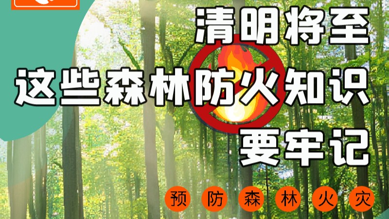 【甘快看】圖解|緊繃“安全弦”！清明，這些森林防火知識要牢記