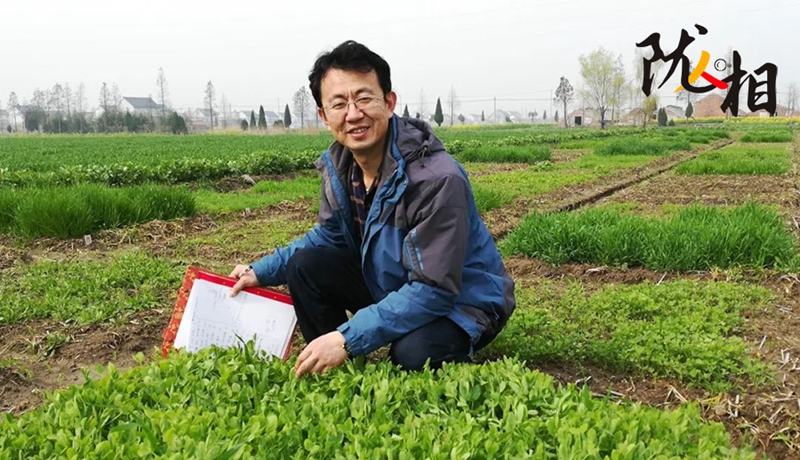 【隴人相203期】“土學(xué)者”劉滿(mǎn)強(qiáng)：俯身西部黃土地 匠心澆灌科研花