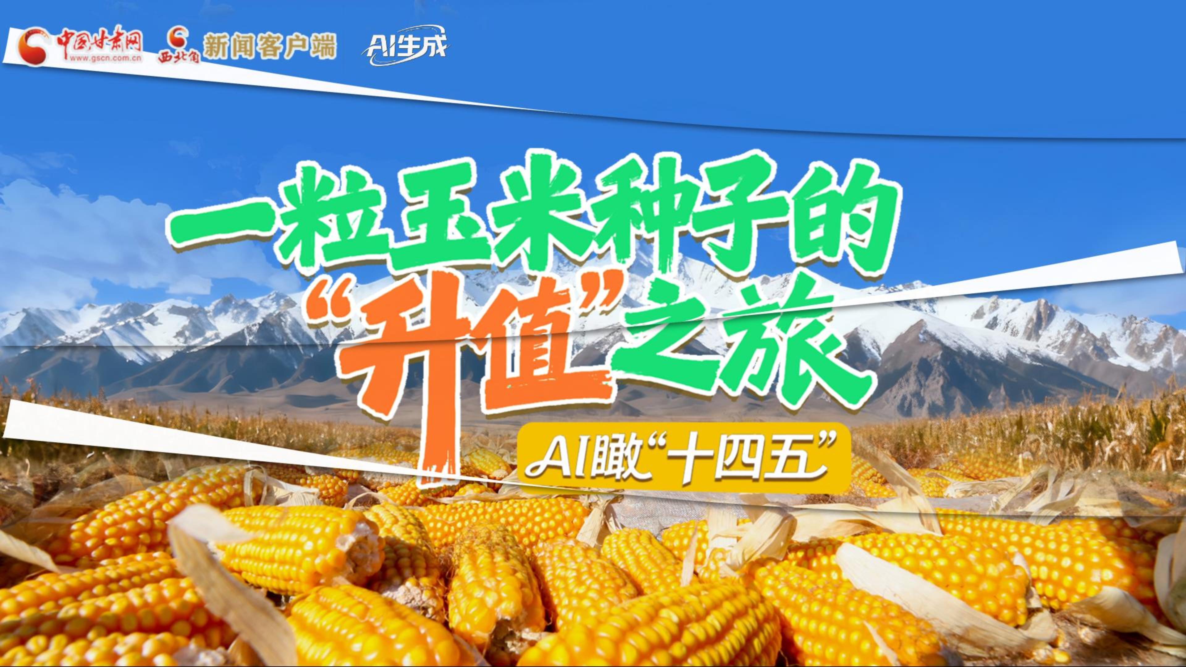 【甘快看】AI瞰甘肅“十四五”|張掖：一粒玉米種子的“升值”之旅