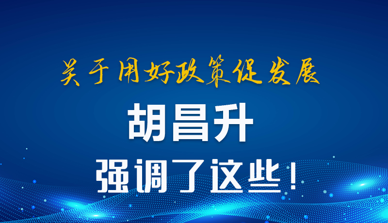 圖解|關(guān)于用好政策促發(fā)展 胡昌升強調(diào)了這些！